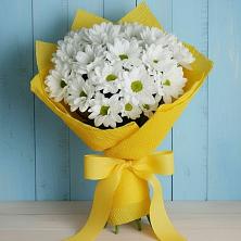 Букет цветов из:  Хризантемы в Тоншаево
